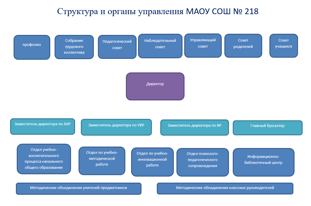 Структура и органы управления МАОУ СОШ 218